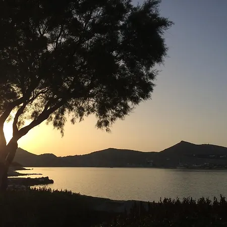 ホテル Almira - Seafront - Paros